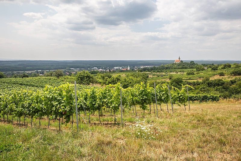 Vinařství Petr Bunža Bzenec